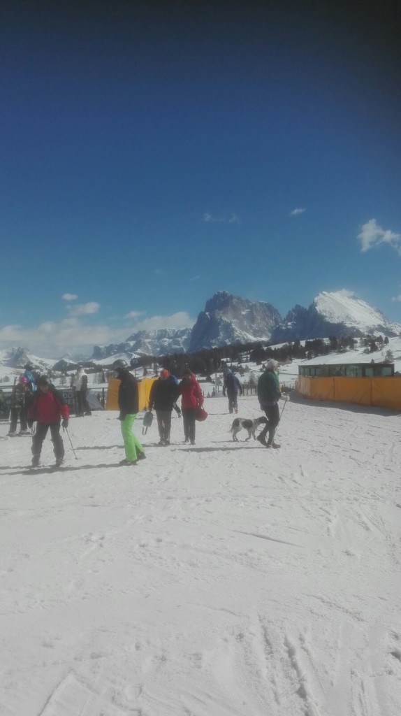 whatsapp-image-2017-03-10-at-12-13-02-1